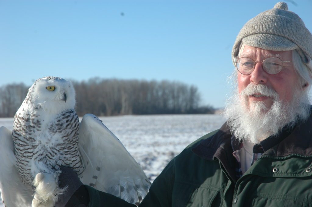 Dave Brinker with Badger, a young female snowy owl, just before her release. Photo by Mike Senn.
