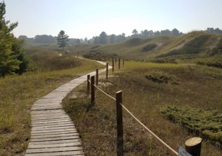 Wooden path through rolling hills