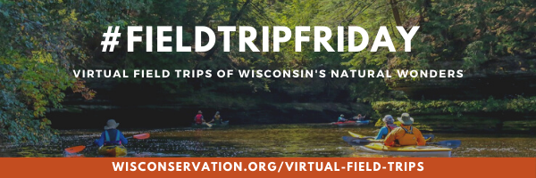 wisconsin conservation field trips