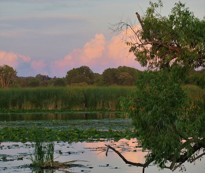 Friends of Horicon Marsh International Education Center Endowment Fund