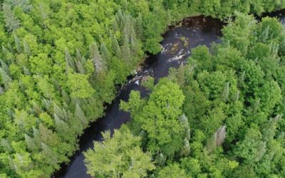 Preserving Wisconsin’s Iconic Northwoods: Tyler Forks Community Forest