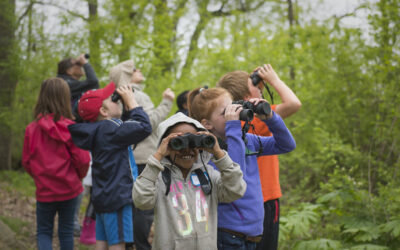 Bringing the Birdathon to Your Classroom