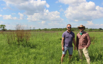 Sweet, sweet habitat: Restoring the Sugar River Wetlands