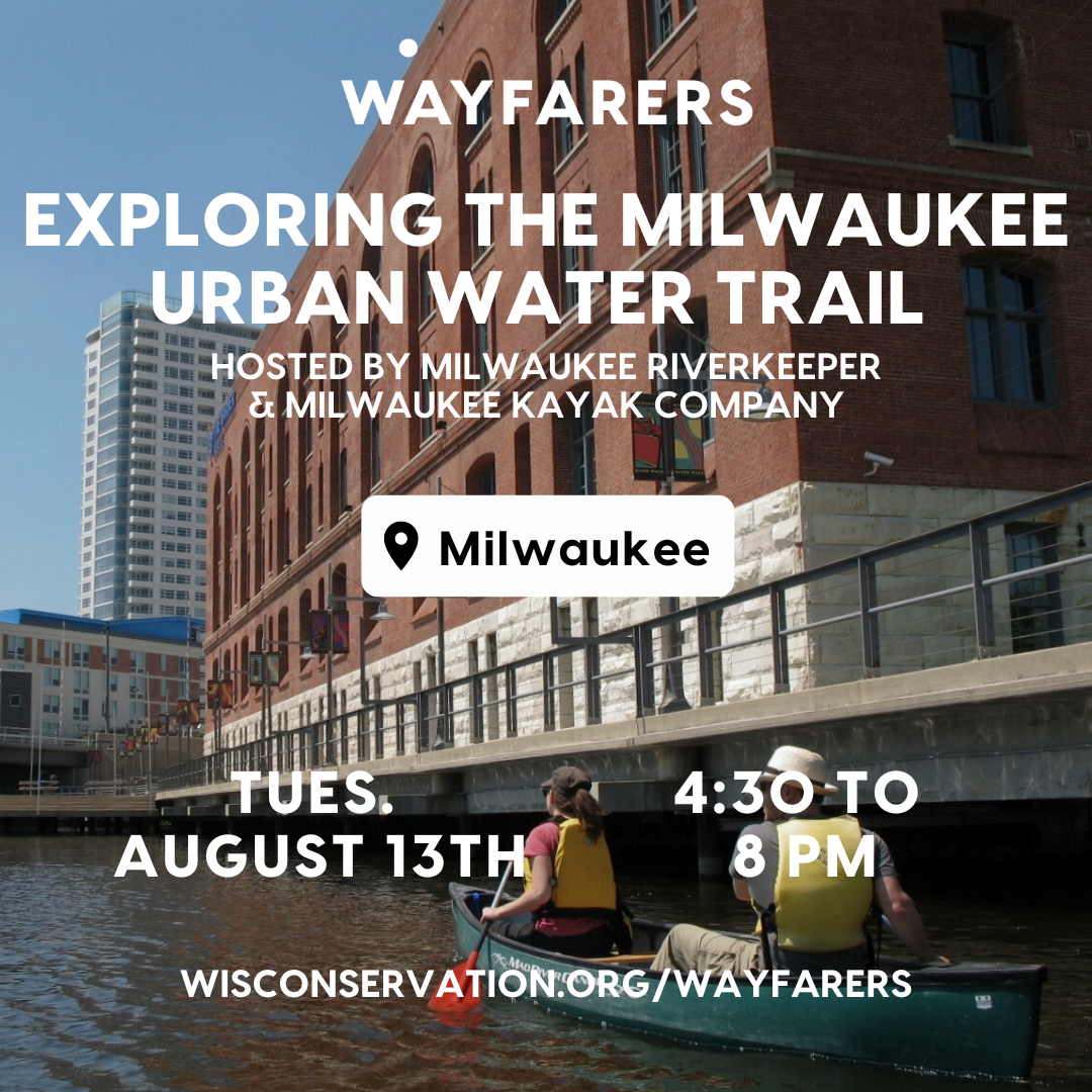 Event graphic with people kayaking on a river underneath tall buildings in downtown milwaukee with text that reads wayfarers exploring the milwaukee urban water trail hosted by Milwaukee Riverkeeper and Milwaukee Kayak Company in Milwaukee Tuesday August 13th from 4:30 to 8 pm wisconservation.org/wayfarers