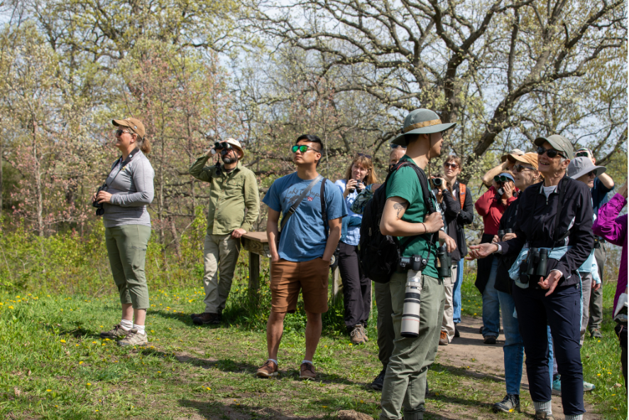 2024 Great Wisconsin Birdathon participants standing in a field looking for birds