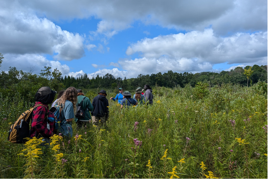 People on a hike in a prairie at Lulu Lake SNA