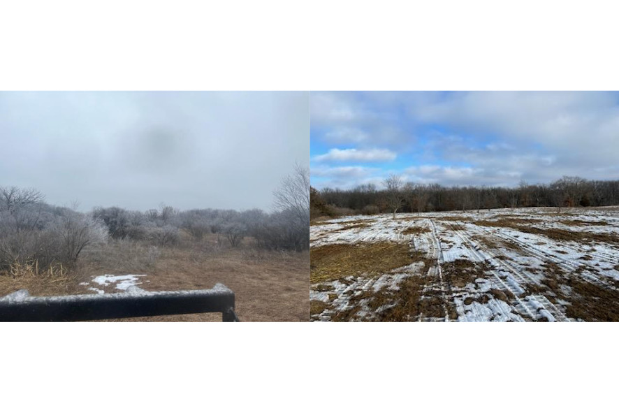 Two photos side by side of same landscape (both in winter), the first image showing a field being encroached by brush, the second image showing that field cleared of brush