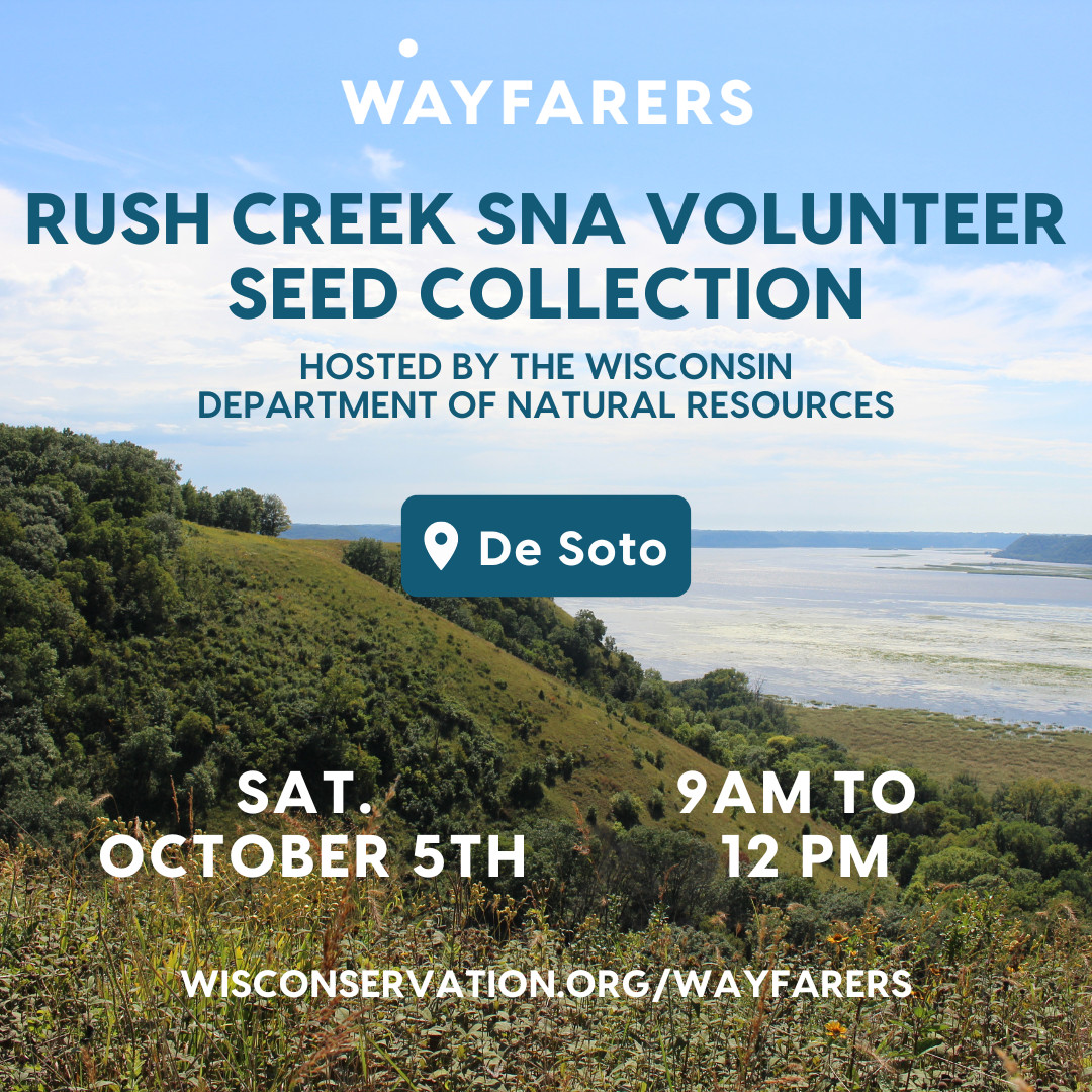 Hilly landscape overlooking a large body of water with text over it that reads Wayfarers Rush Creek SNA Volunteer Seed Collection hosted by the Wisconsin Department of Natural Resources in De Soto on Saturday October 5th from 8am to 12pm WisConservation.org/Wayfarers