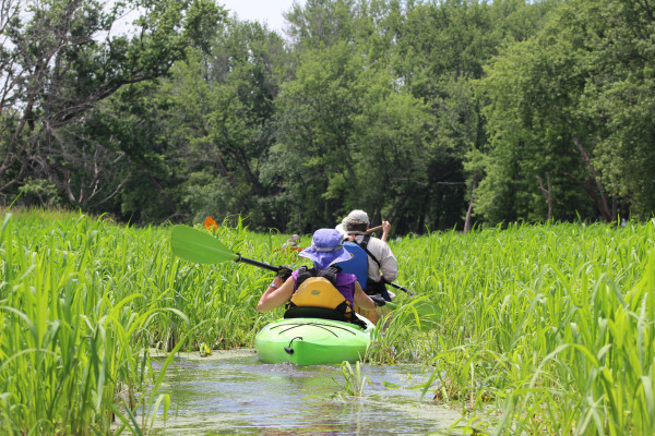 People kayaking on the Mississippi River