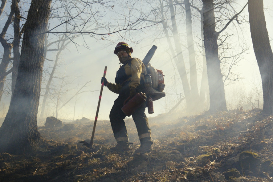 a person monitoring a prescribed fire in a forest