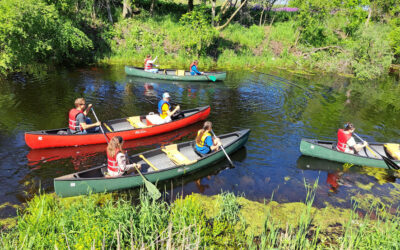 There and Back (to class) Again: Exploring the Sheboygan County Marsh