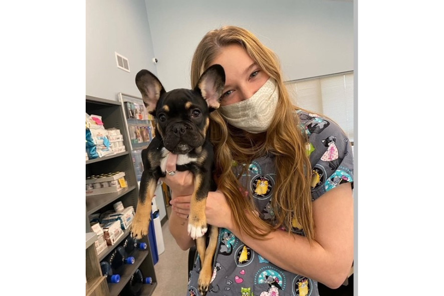 Person holding a small dog at a vet's office