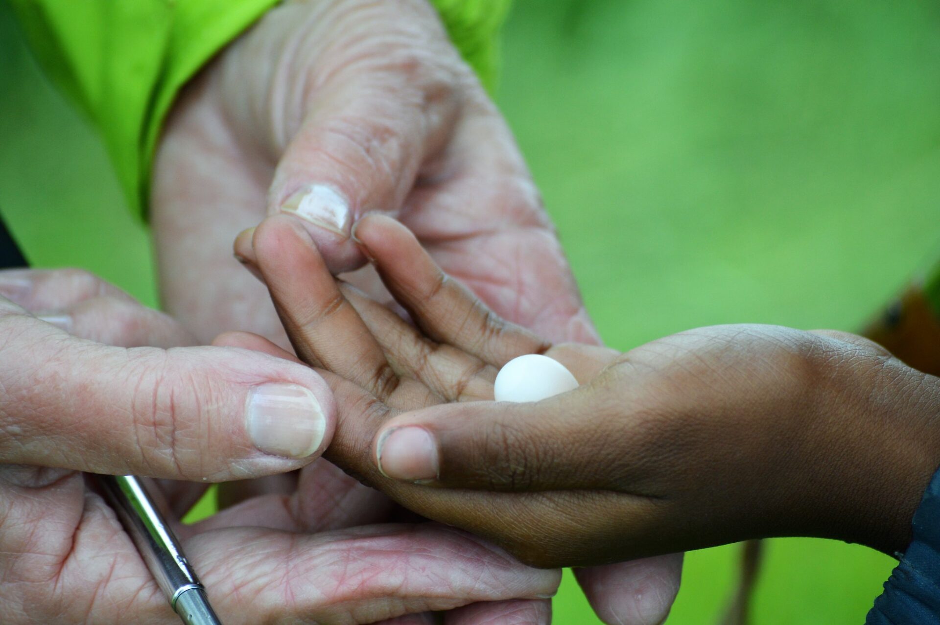 Instructor's hand (Marianne) and young boy, Jackson, holding a small egg