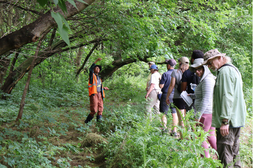 Field Trip participants standing on a trail under a canopy of trees while listening to a Field Trip leader speak