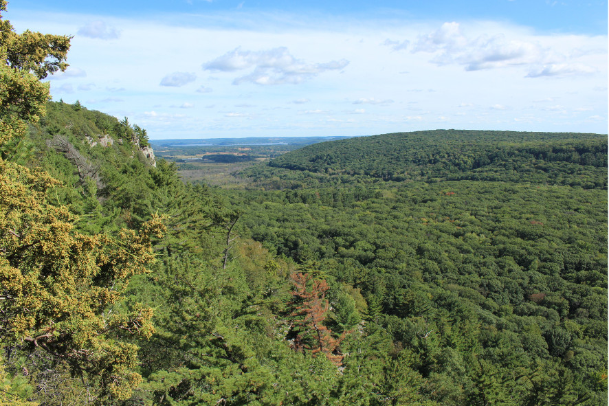 View of South Bluff/Devil’s Nose State Natural Area from an overlook.