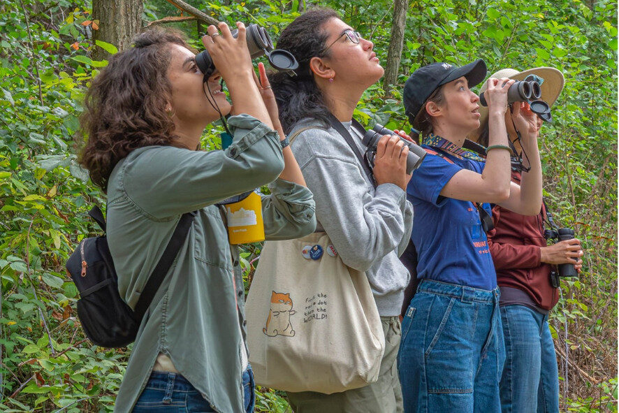 people birdwatching in a forest