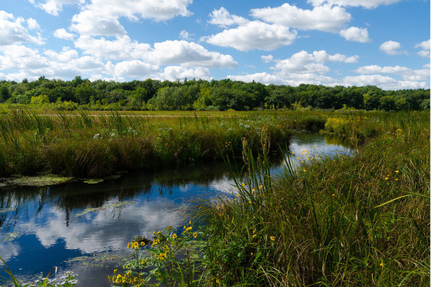 a river going through a fen under a partly cloudy and blue sky